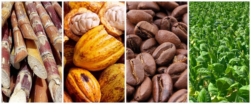 Exportaciones de productos tradicionales agrícolas dominicanos